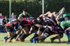 thumb_DSC_7002.JPG